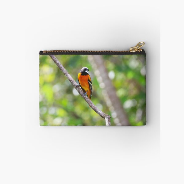 Item preview, Baltimore Oriole Panama Bird Photography designed and sold by Alvaro-Miranda.