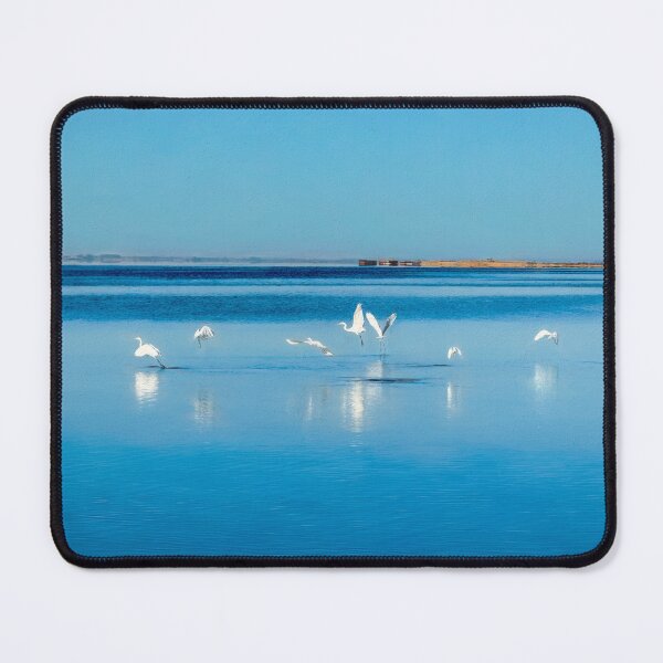 Item preview, Egrets Dance A Lake Ballet designed and sold by Debra Martz.