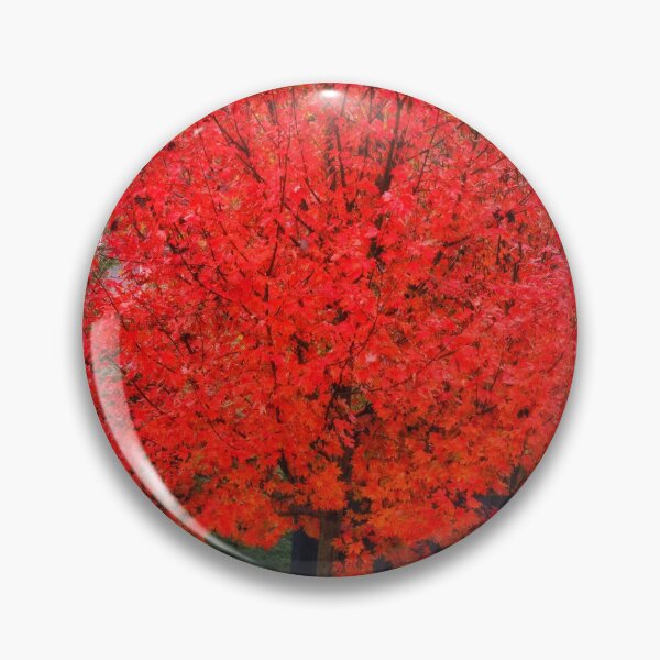 Item preview, Leaves designed and sold by Larrysphotos.