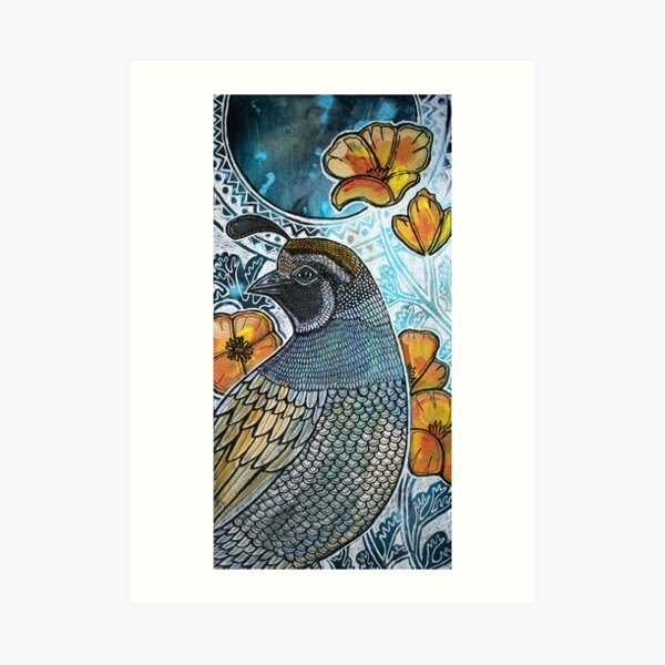 California Quail and Poppies Art Print