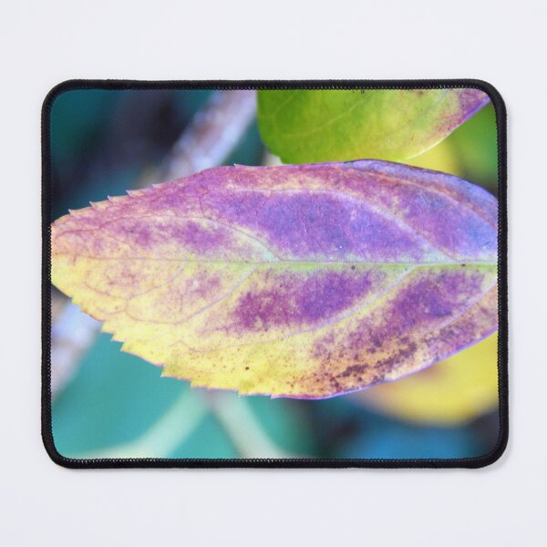 Item preview, Fall Forsythia designed and sold by gistinker.