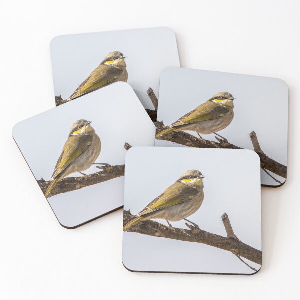 Item preview, Singing honeyeater designed and sold by johkar-photos.