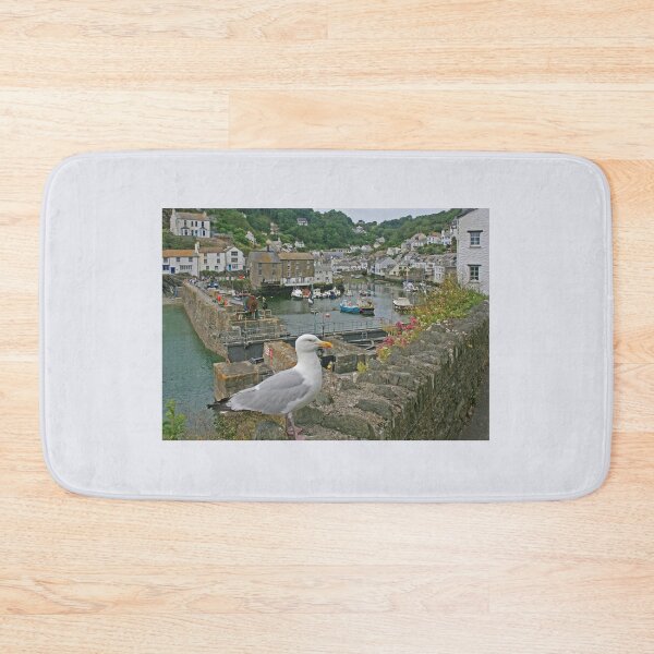 Item preview, Seagull, Polperro, Cornwall, July 2024 designed and sold by RedHillDigital.