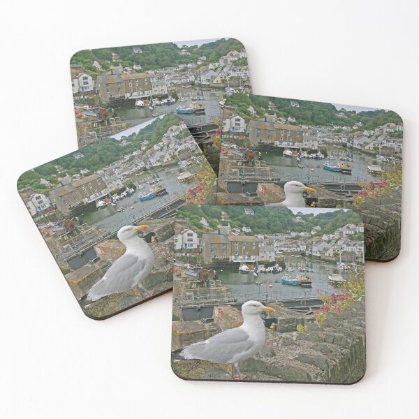 Item preview, Seagull, Polperro, Cornwall, July 2024 designed and sold by RedHillDigital.