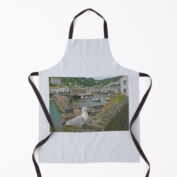 Item preview, Seagull, Polperro, Cornwall, July 2024 designed and sold by RedHillDigital.
