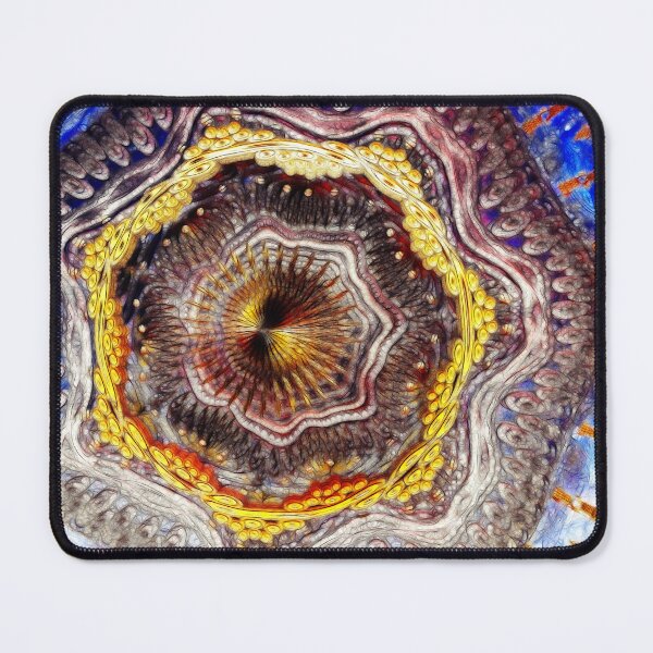 Item preview, Digital Sculpture designed and sold by Benedikt Amrhein.