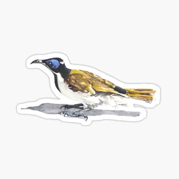 Item preview, Blue Faced Honeyeater designed and sold by Denise Faulkner.