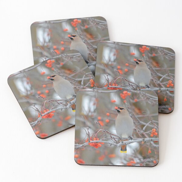 Item preview, Bohemian Waxwing and Mountain Ash Berries designed and sold by Whisperingpeaks.