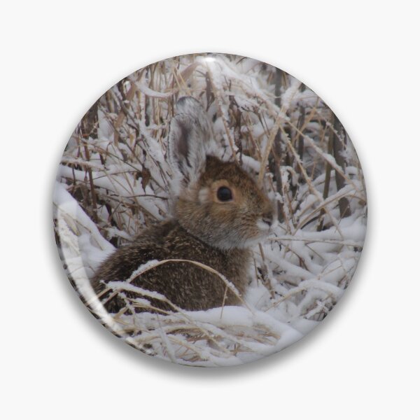 Item preview, Early Autumn Snowshoe Hare designed and sold by TheNatureNerd.