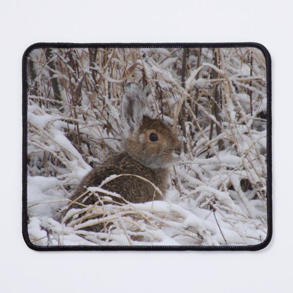 Item preview, Early Autumn Snowshoe Hare designed and sold by TheNatureNerd.