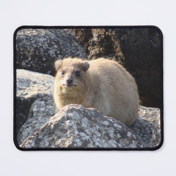 Item preview, The Rock Hyrax designed and sold by TheNatureNerd.