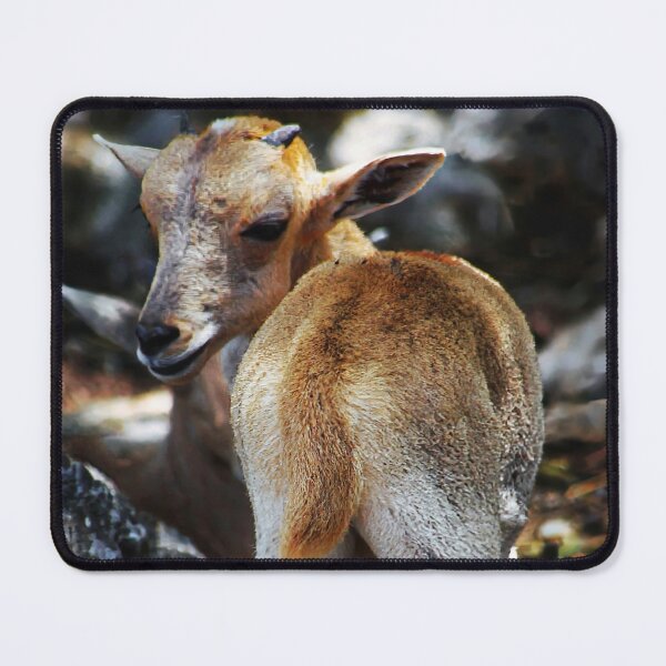Item preview, What! designed and sold by John Dauer.