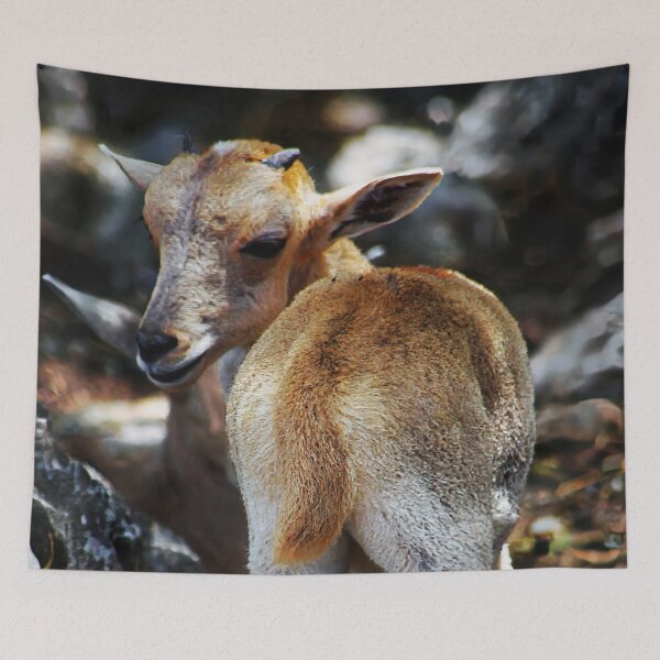 Item preview, What! designed and sold by John Dauer.
