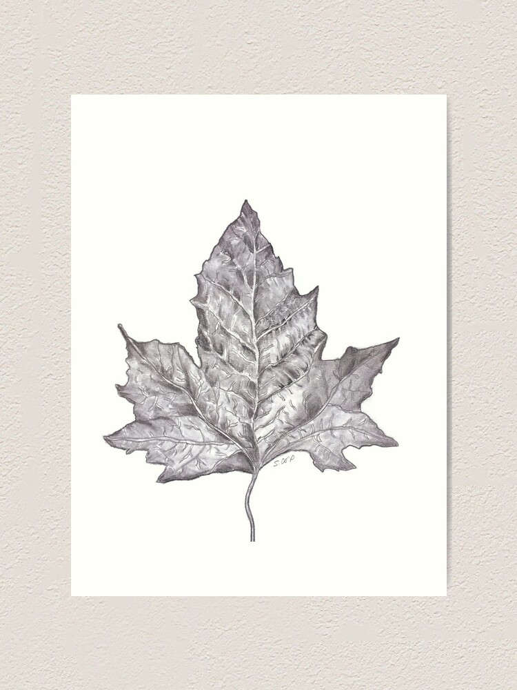 Pencil sketch scenery | Easy sketches | Sketch of nature | Pencil sketch...  | Nature sketch, Nature drawing, Pencil drawing images