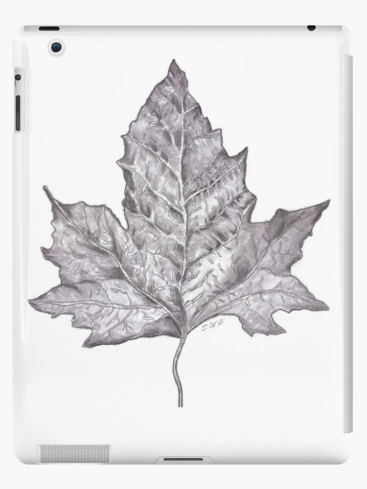 Buy Small Colored Pencil Drawing, Leaf Drawing on Ivory Paper Online in  India - Etsy