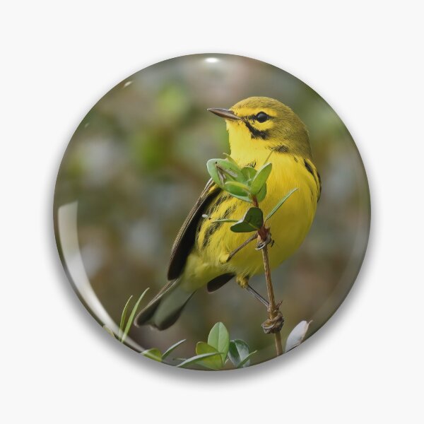 Item preview, Prairie Warbler designed and sold by CloserToTheArt.