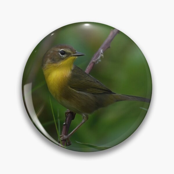 Item preview, A female Common Yellowthroat designed and sold by CloserToTheArt.