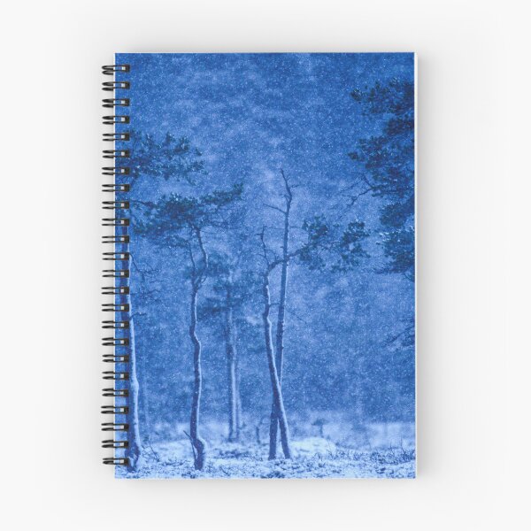 Item preview, Snowstorm in Hamra National Park in Sweden designed and sold by Ingo Gerlach.