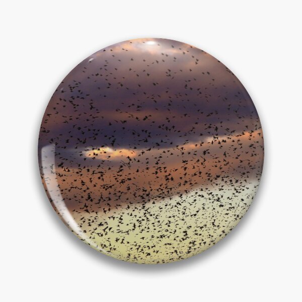 Item preview, The flock at sunset designed and sold by annalisa56.