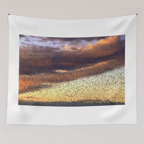 Item preview, The flock at sunset designed and sold by annalisa56.