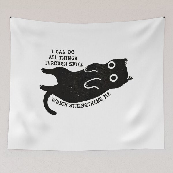 Item preview, I Can Do All Things Through Spite Which Strengthens Me designed and sold by stewartadam.