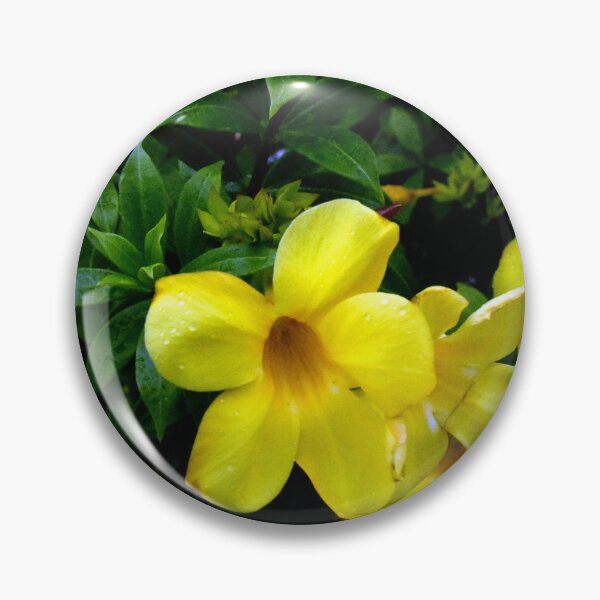Item preview, Allamanda Cathartica Flowers designed and sold by MercerImages.