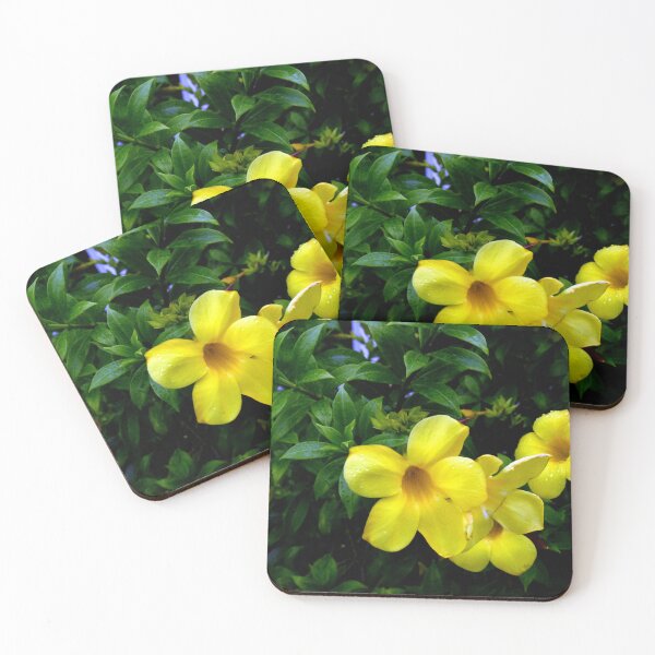 Item preview, Allamanda Cathartica Flowers designed and sold by MercerImages.