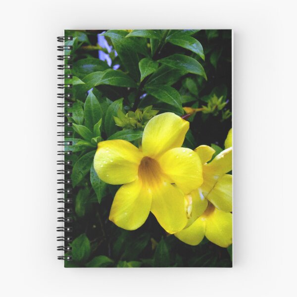 Item preview, Allamanda Cathartica Flowers designed and sold by MercerImages.