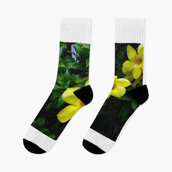 Item preview, Allamanda Cathartica Flowers designed and sold by MercerImages.