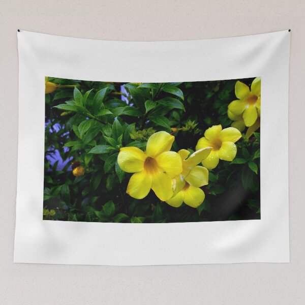Item preview, Allamanda Cathartica Flowers designed and sold by MercerImages.