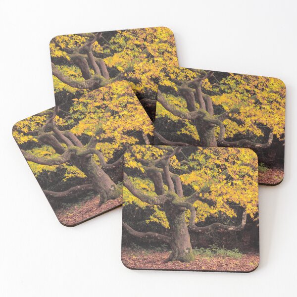 Item preview, Japanese Maple at Autumn designed and sold by David Bowman.