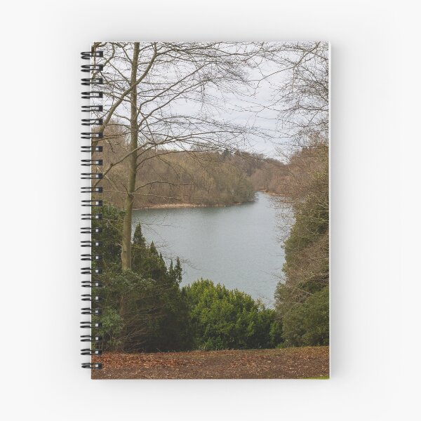 Item preview, Blenheim Palace Lake II designed and sold by Thomas Halouva.