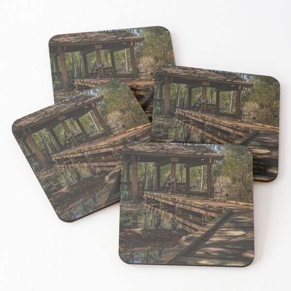 Item preview, Lettuce Lake Park Tampa Florida Picnic Shelter Reflection wooden deck extends through a serene forested swamp area designed and sold by EyezWatchin.
