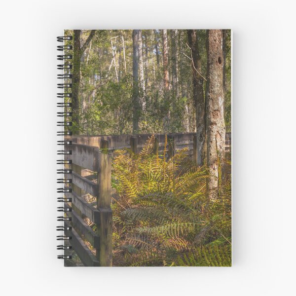 Item preview, Lettuce Lake Park Tampa Florida boardwalk winds through a lush forest surrounded by ferns and tall trees designed and sold by EyezWatchin.