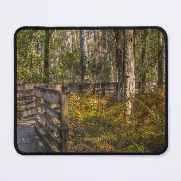 Item preview, Lettuce Lake Park Tampa Florida boardwalk winds through a lush forest surrounded by ferns and tall trees designed and sold by EyezWatchin.