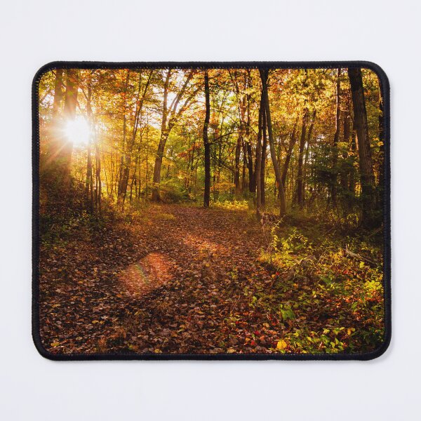 Item preview, Morning Walk designed and sold by browncardinal8.