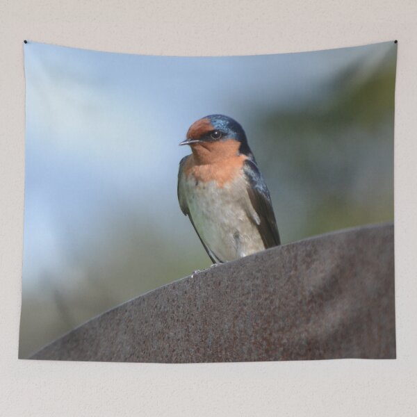 Item preview, Beachlands Swallow designed and sold by lizdomett.