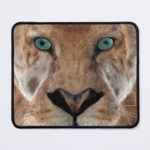 Item preview, Sabertooth Tiger or Smilodon designed and sold by Vac1.