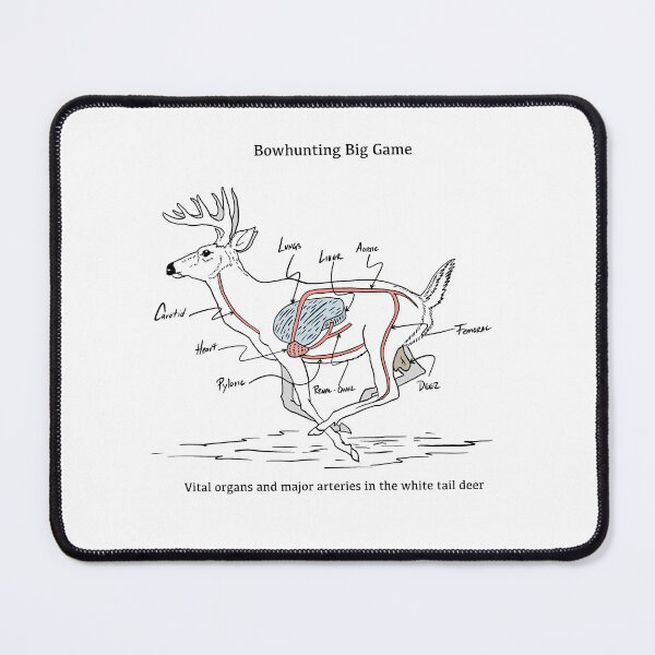 Item preview, Deer vital organs chart hunting designed and sold by Michael Garber.