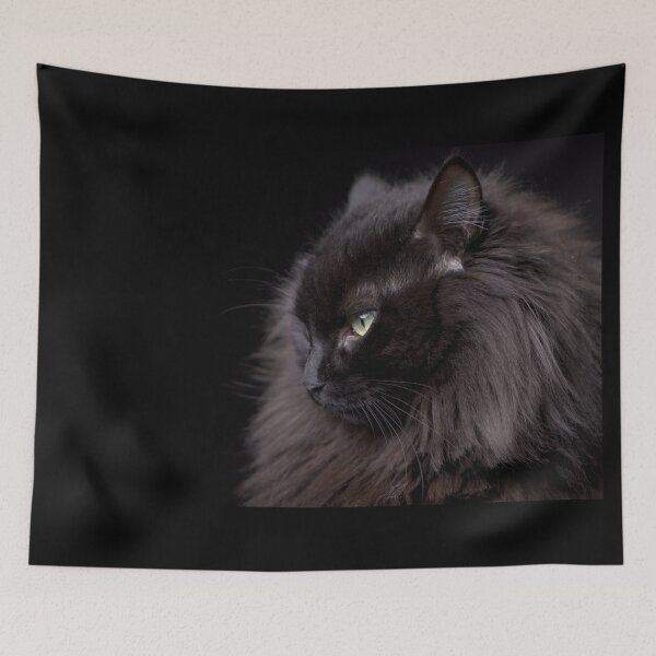 Item preview, Black Nordic Angora Cat designed and sold by Poupeedecendres.