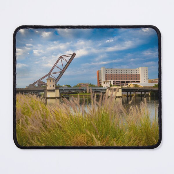 Item preview, Tampa Bay Riverwalk the Extended Bridge Foiliage Foreground blue sky designed and sold by EyezWatchin.