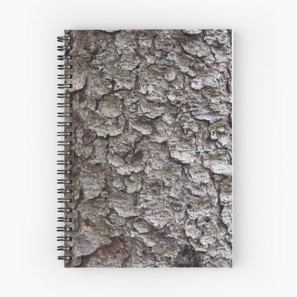 Item preview, A spruce bark designed and sold by Claude Laprise.