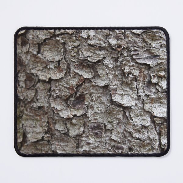 Item preview, A spruce bark designed and sold by Claude Laprise.