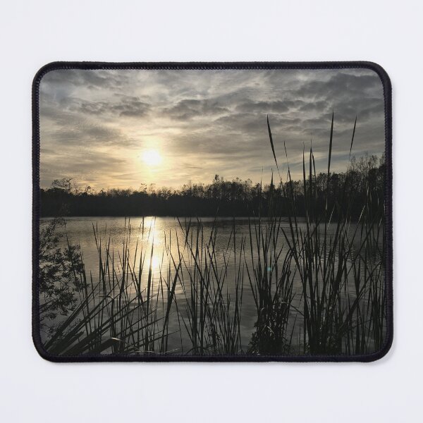 Item preview, Landscape in Fort Myers, Florida designed and sold by Topmel.