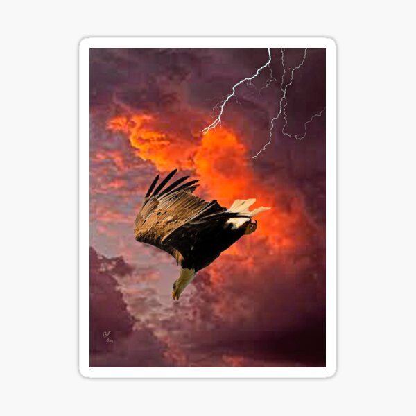 Item preview, Thunder from the Sky designed and sold by billfox256.