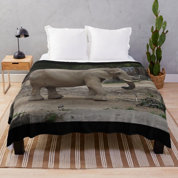 Item preview, Adult African Elephant with curved trunk standing in safety enclosure while eating sticks designed and sold by Jacobs-Media.