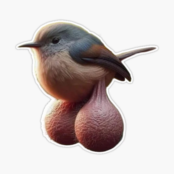st,large,507x507-pad,600x600,f8f8f8.u1.webp