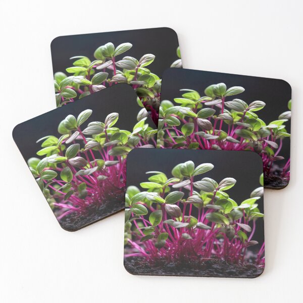 Item preview, Micro Photography - Microgreens designed and sold by KootenayDesigns.