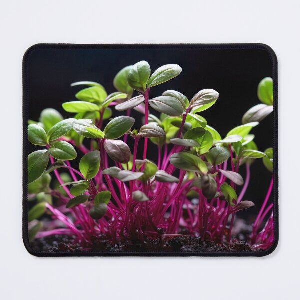 Item preview, Micro Photography - Microgreens designed and sold by KootenayDesigns.