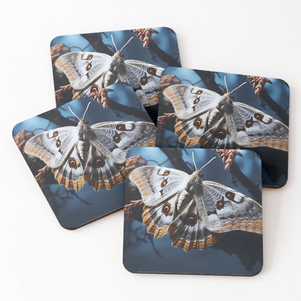 Item preview, Microfotografía - Polilla designed and sold by KootenayDesigns.